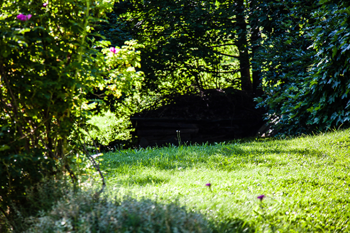 L’été à Versoye