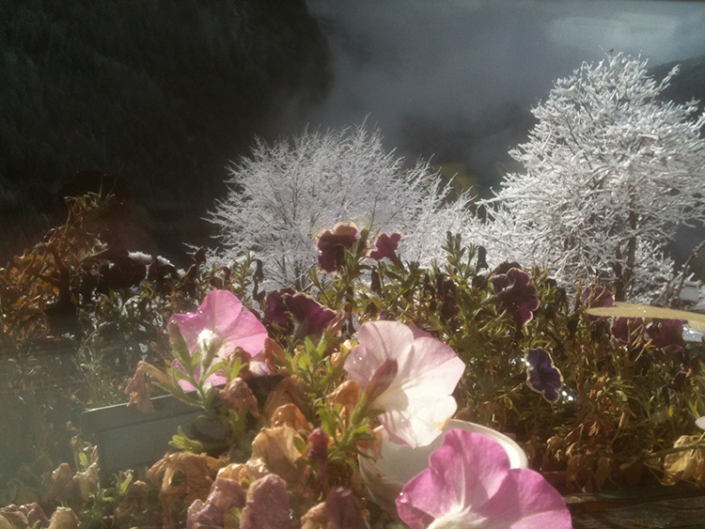 Gîte Versaya - Village de Versoye