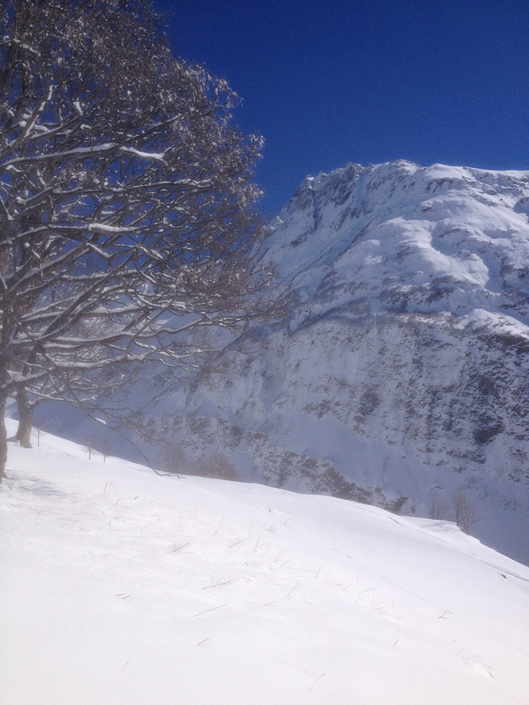 Gîte Versaya - Village de Versoye