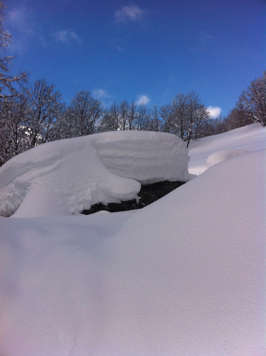 Gîte Versaya - Village de Versoye