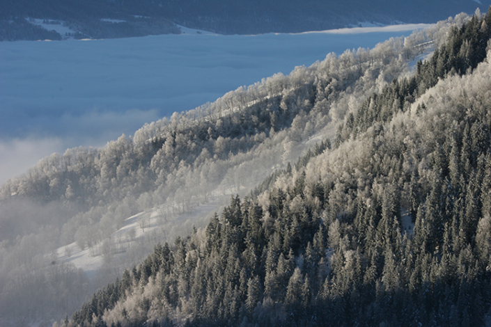 Gîte Versaya - Village de Versoye