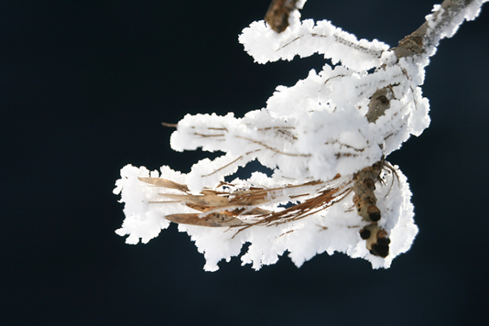 Gîte Versaya - Village de Versoye