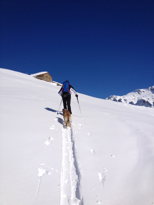 Gîte Versaya - Village de Versoye