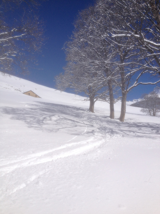 Gîte Versaya - Village de Versoye