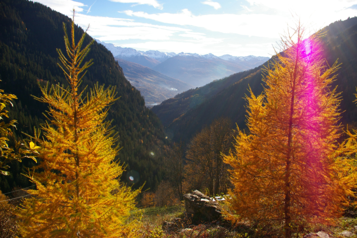 Versoye : village authentique et charmant