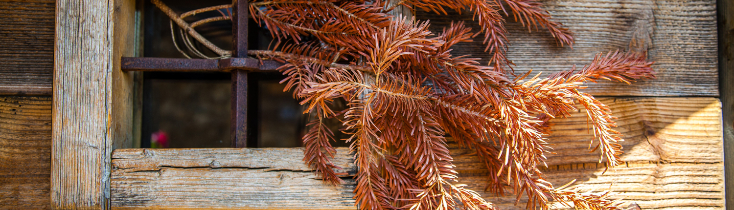 Versoye : village authentique et charmant